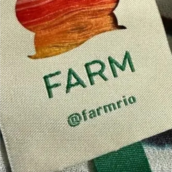 FARM Rio Multicolor Striped Maxi Dress - Picture 3 of 14